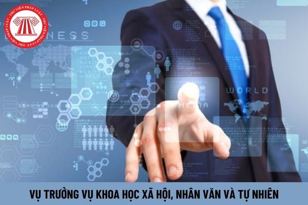 Yêu cầu về trình độ đào tạo đối với Vụ trưởng Vụ Khoa học Xã hội, Nhân văn và Tự nhiên như thế nào?