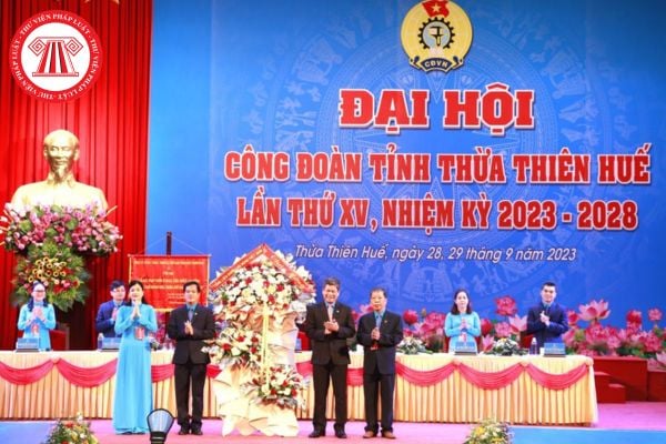 Ai có quyền chỉ định ban chấp hành lâm thời công đoàn?