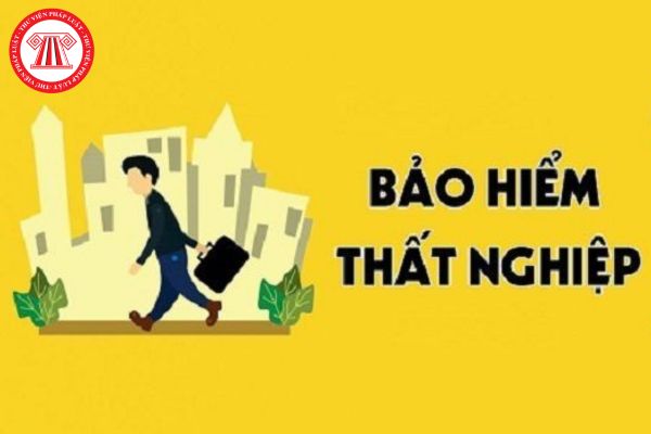 Từ ngày 1/7/2025, đóng chưa đủ số tiền bảo hiểm thất nghiệp bị coi là trốn đóng trong trường hợp nào?