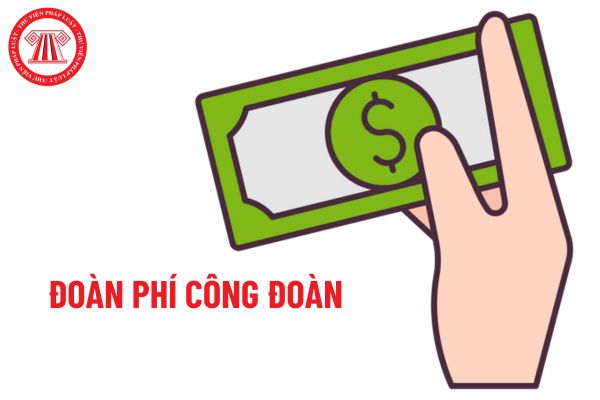 03 mức đóng đoàn phí công đoàn cho 03 đối tượng cụ thể như thế nào?