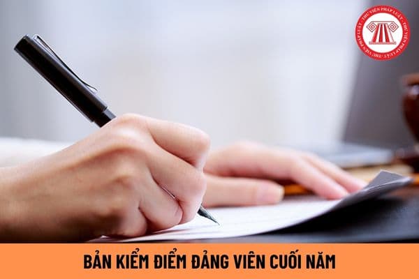 Mẫu 2A Bản kiểm điểm đảng viên cuối năm 2024 cho cá nhân không giữ chức vụ lãnh đạo quản lý mới nhất ra sao?