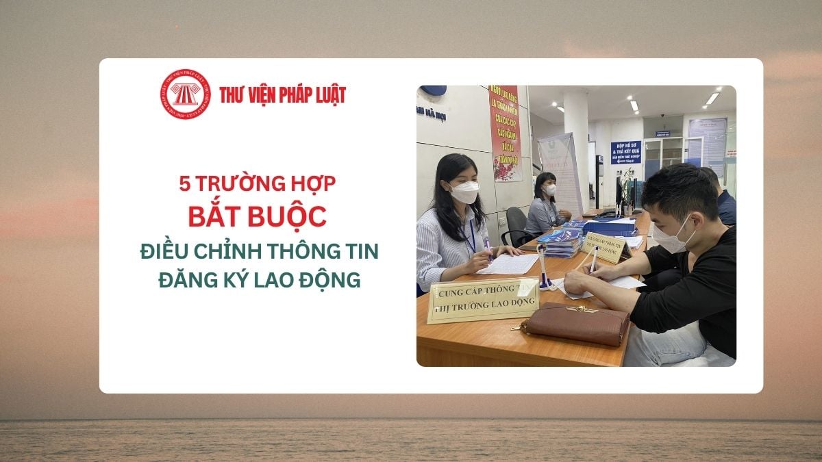 Lao Động Tiền Lương