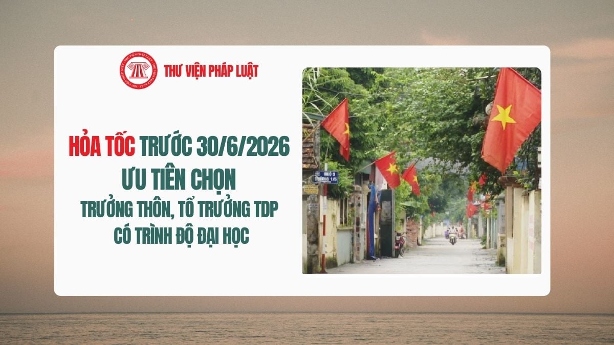 Lao Động Tiền Lương