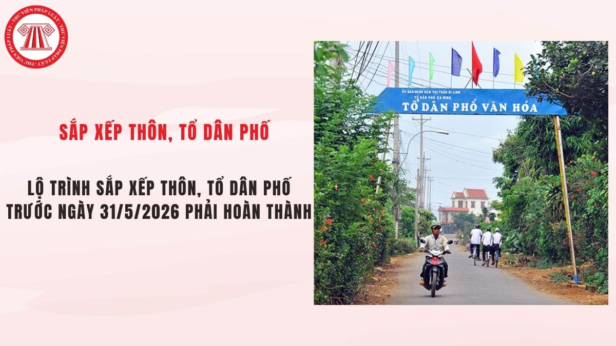 Thủ tướng quyết định lộ trình sắp xếp thôn, tổ dân phố trước ngày 31/5/2026 phải hoàn thành do cơ quan nào chủ trì thực hiện?