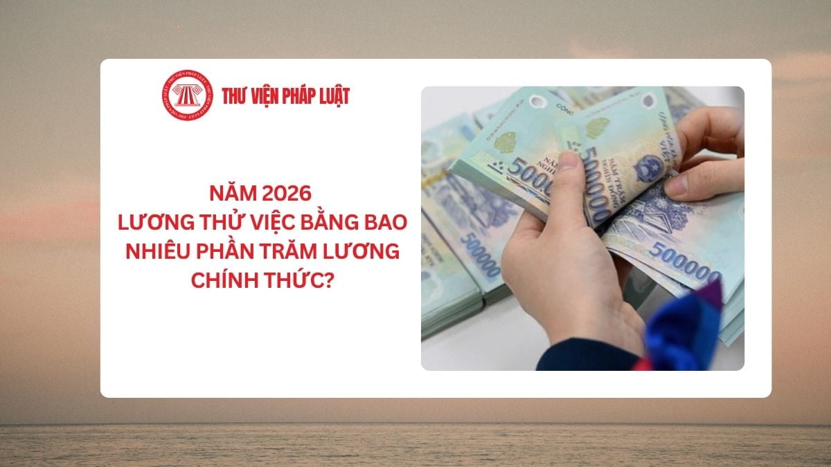 Lao Động Tiền Lương