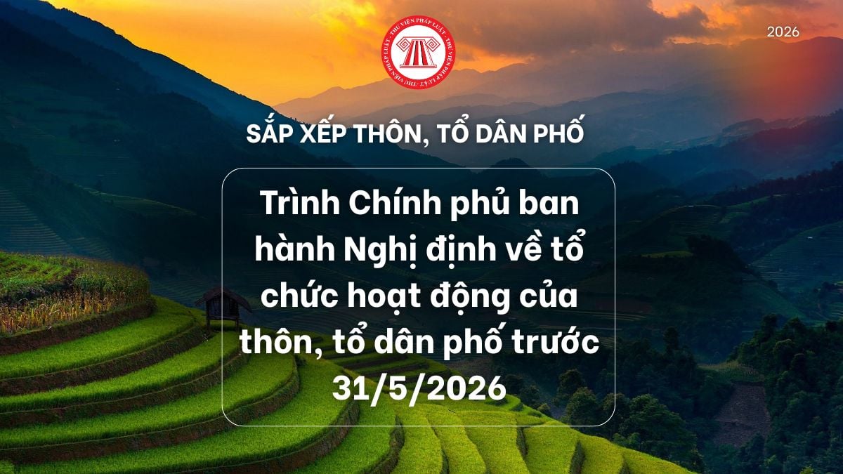 Lao Động Tiền Lương