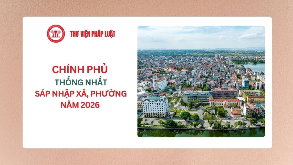 Lao Động Tiền Lương