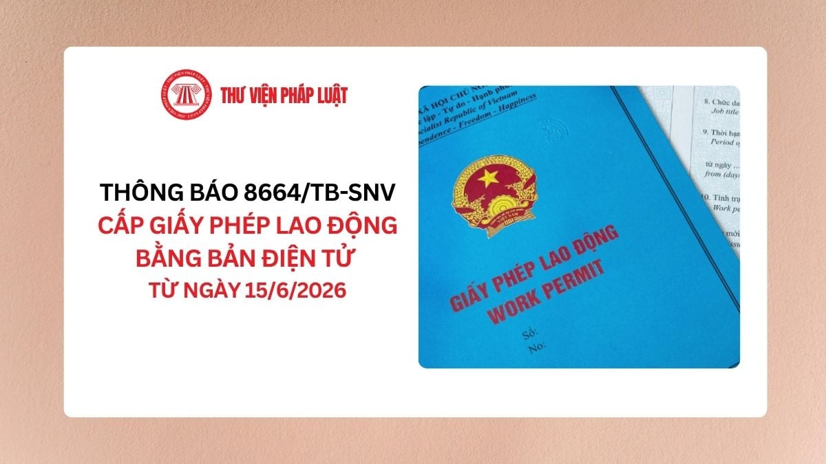 Lao Động Tiền Lương