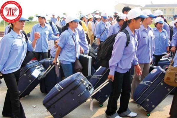 Lao Động Tiền Lương