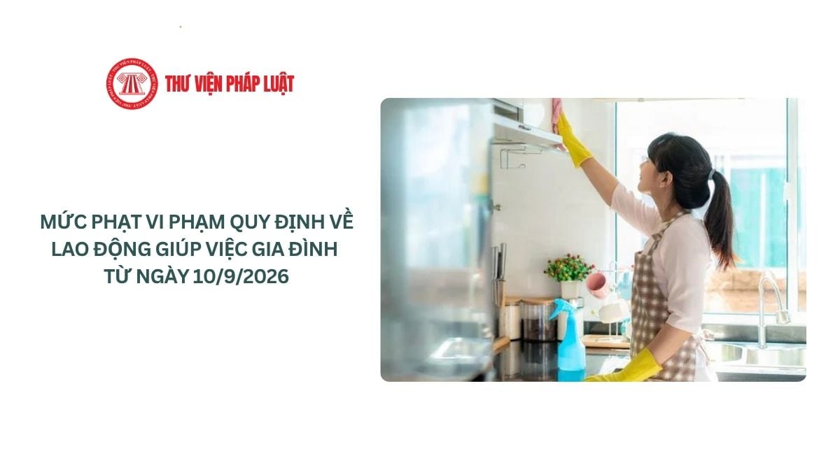Lao Động Tiền Lương