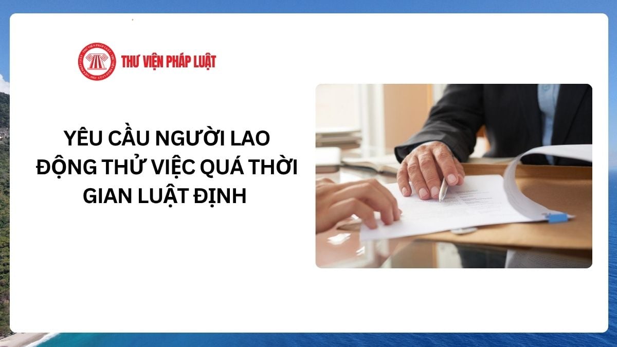 Lao Động Tiền Lương