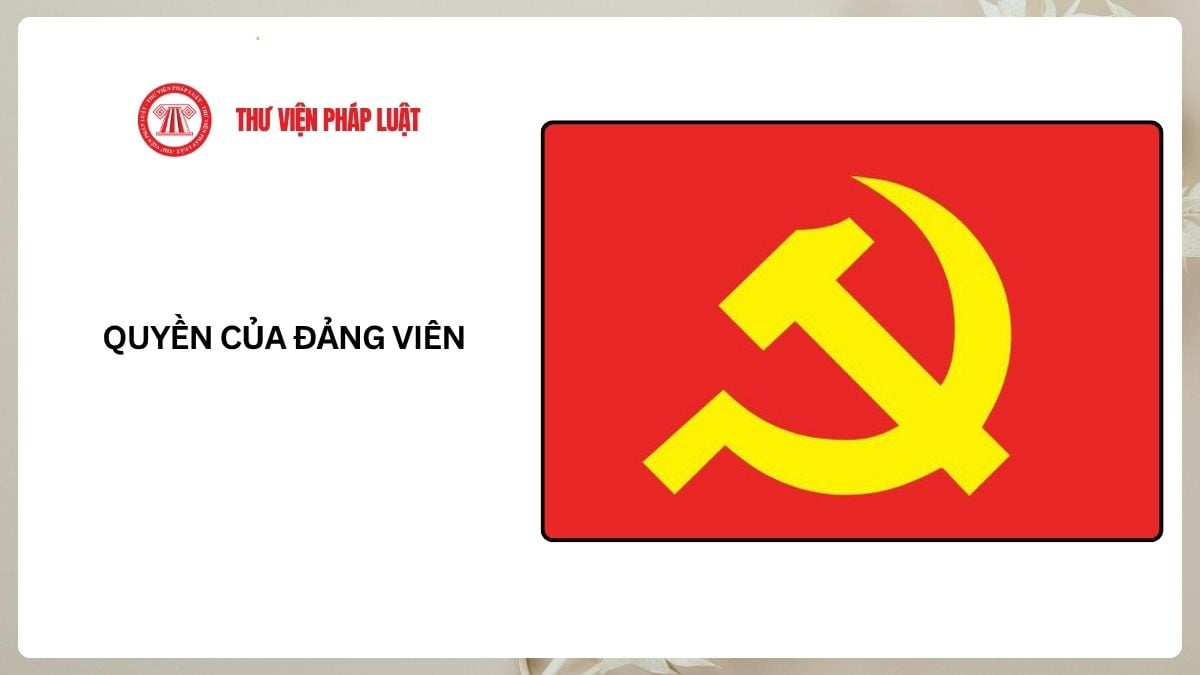 Lao Động Tiền Lương