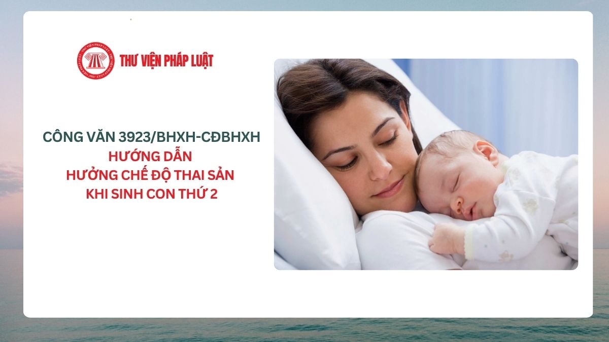 Lao Động Tiền Lương