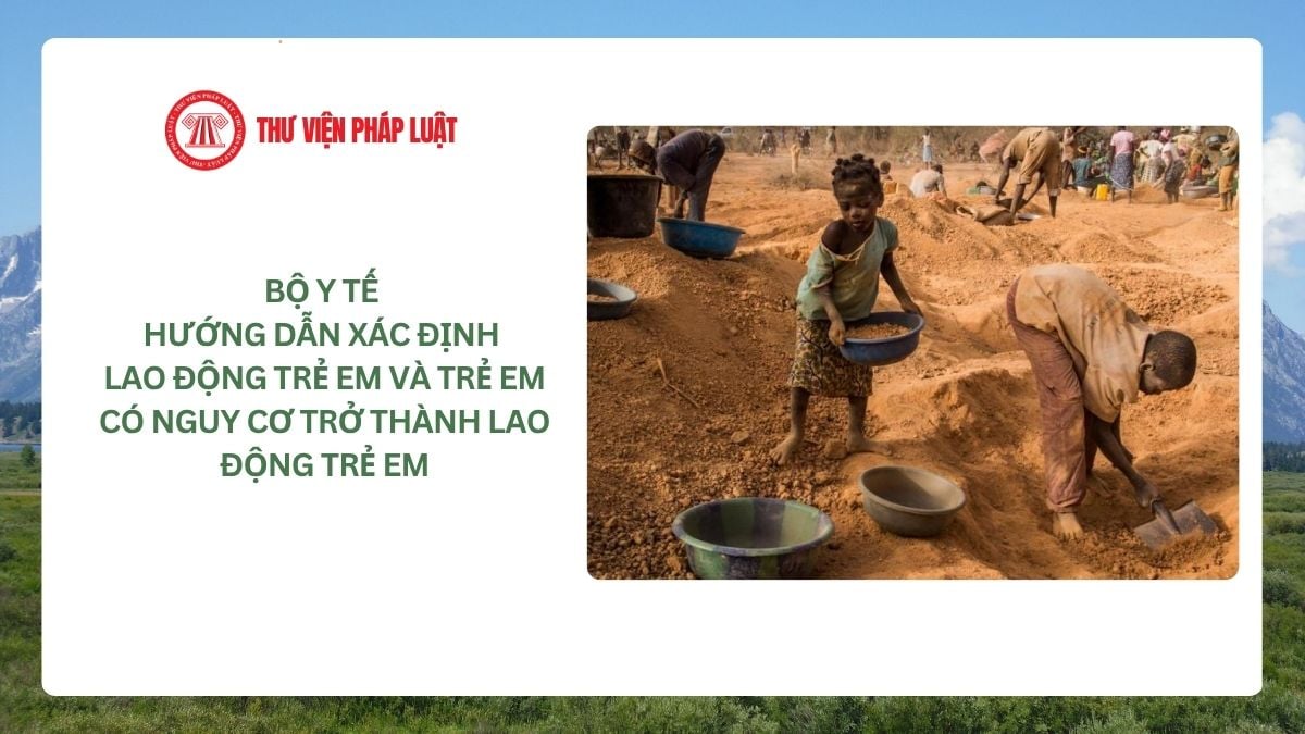 Lao Động Tiền Lương
