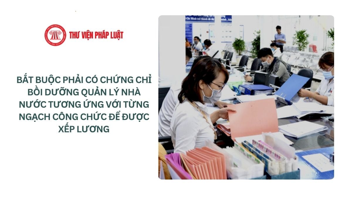 Lao Động Tiền Lương