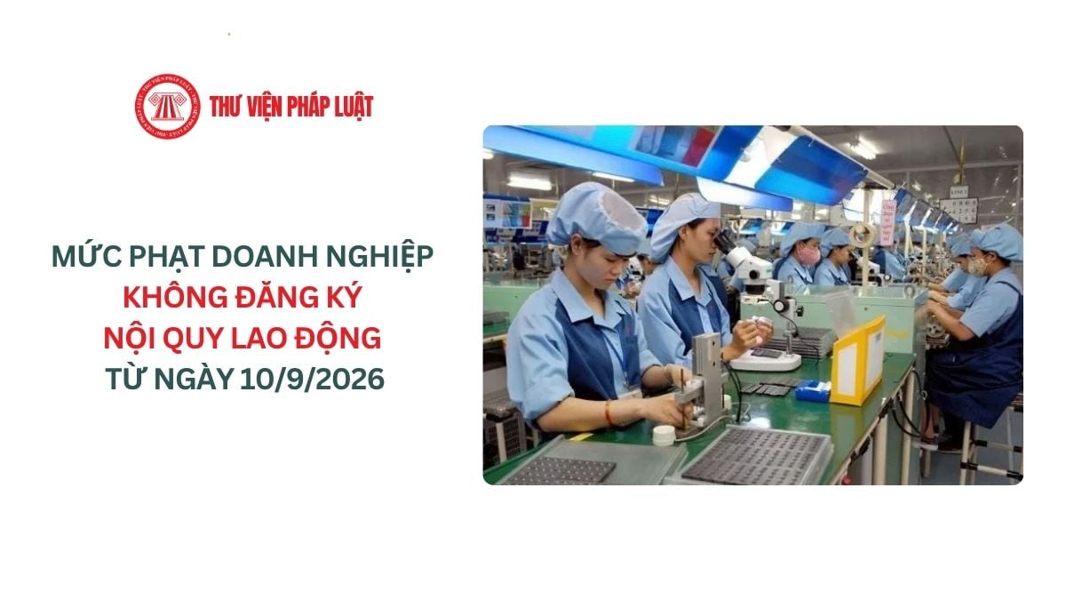 Lao Động Tiền Lương
