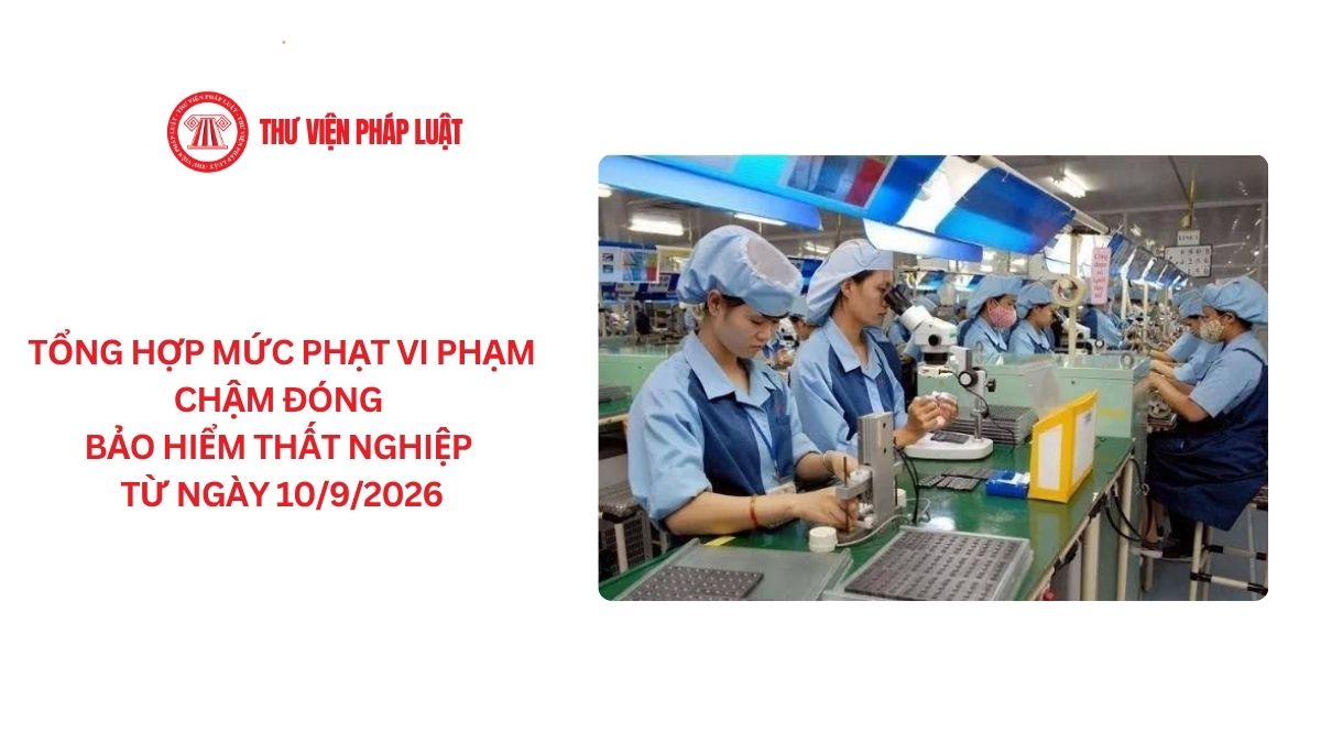 Lao Động Tiền Lương