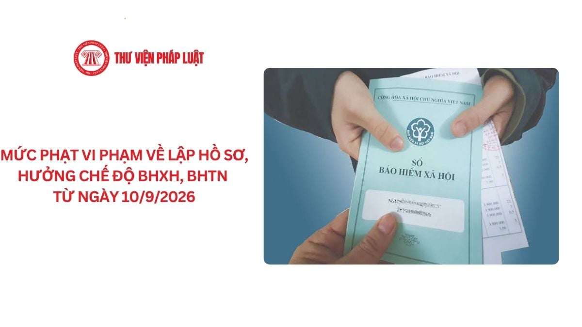 Lao Động Tiền Lương