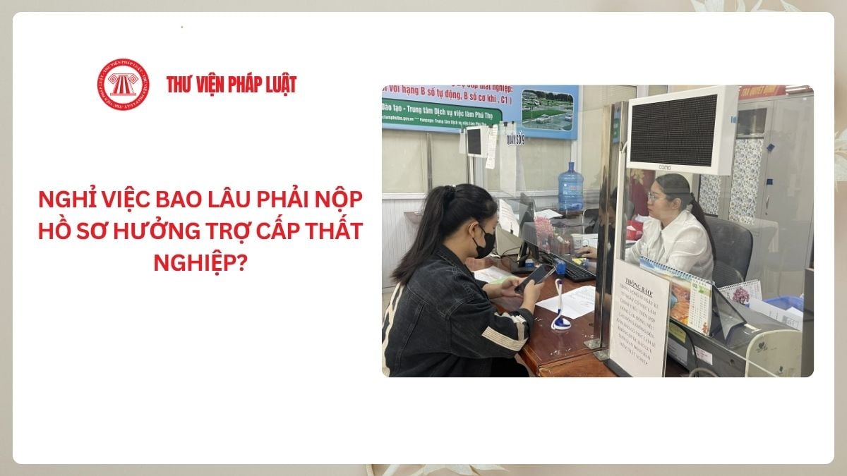 Lao Động Tiền Lương
