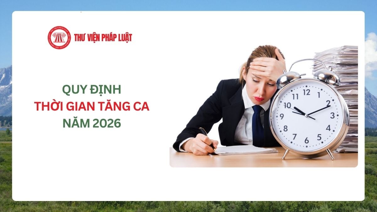 Lao Động Tiền Lương