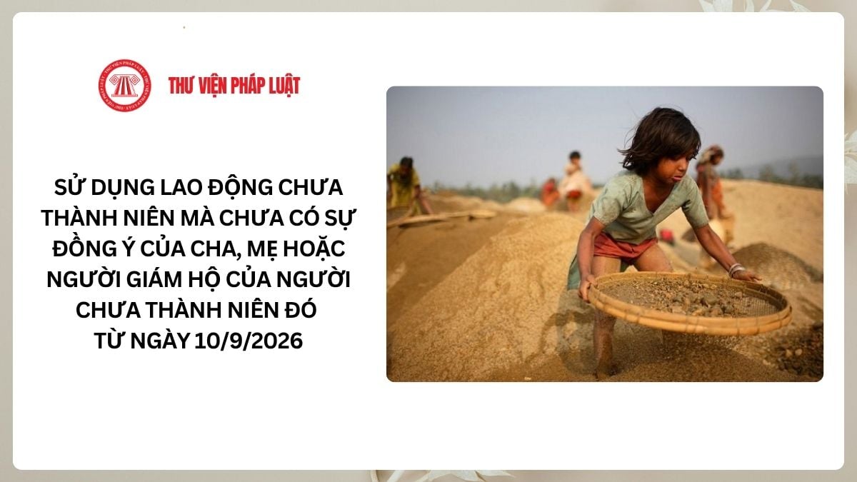 Lao Động Tiền Lương