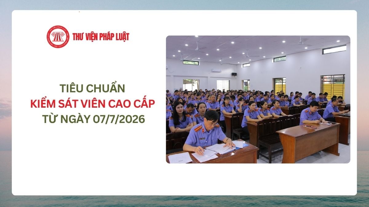 Lao Động Tiền Lương
