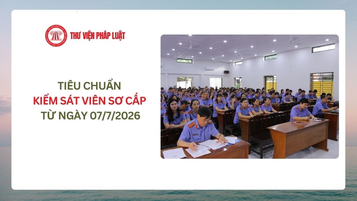 Lao Động Tiền Lương