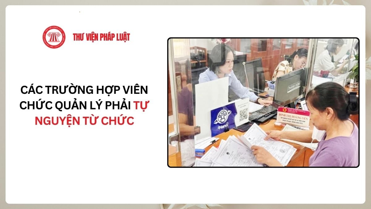Lao Động Tiền Lương