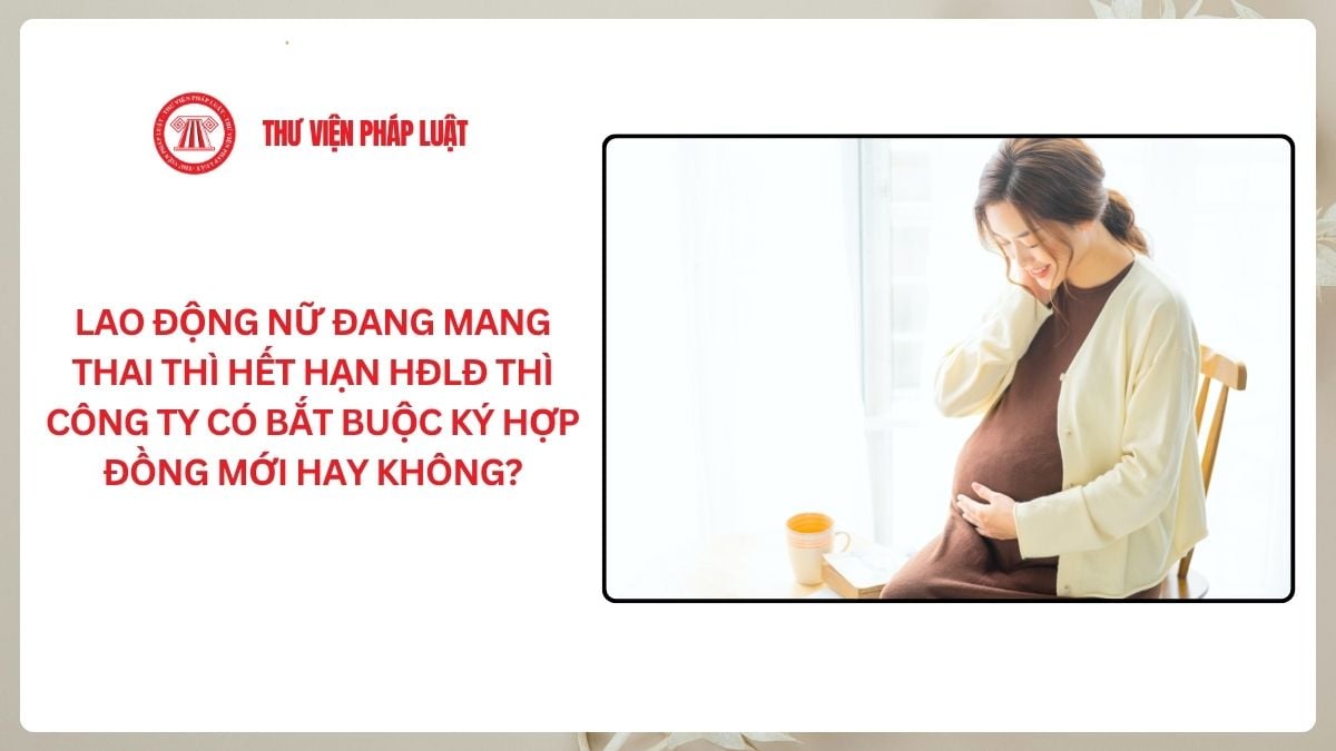 Lao Động Tiền Lương