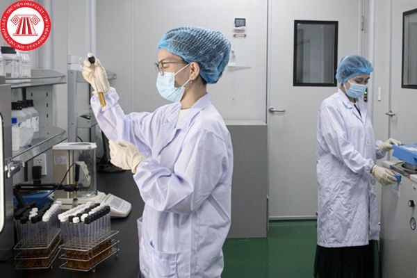 Lao Động Tiền Lương