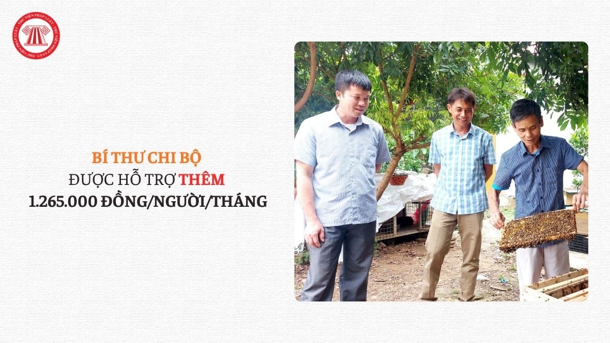 Lao Động Tiền Lương