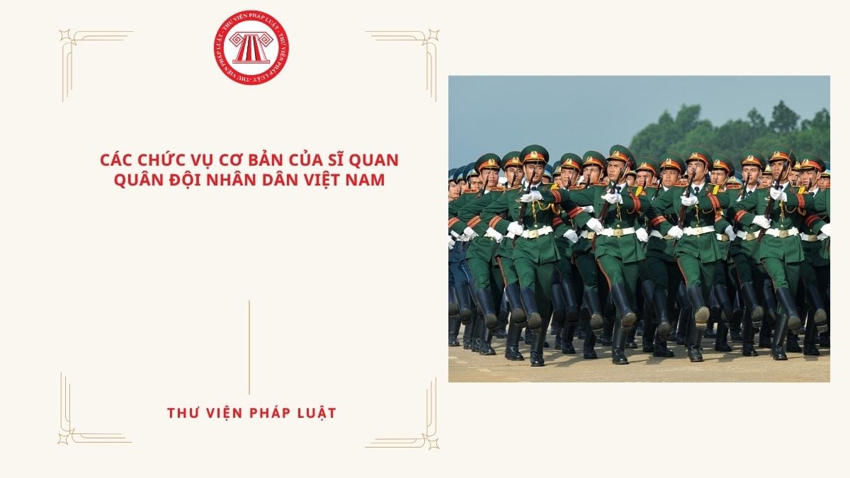 Lao Động Tiền Lương