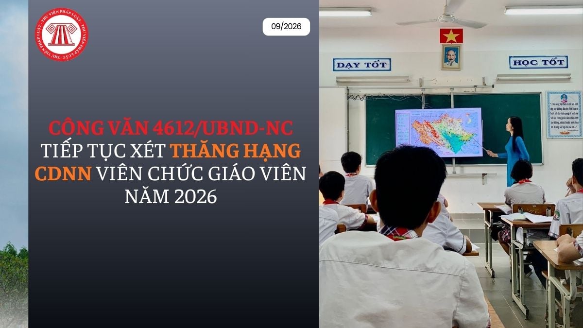 Lao Động Tiền Lương