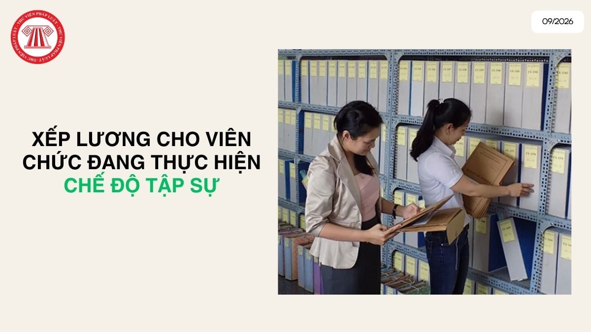 Lao Động Tiền Lương