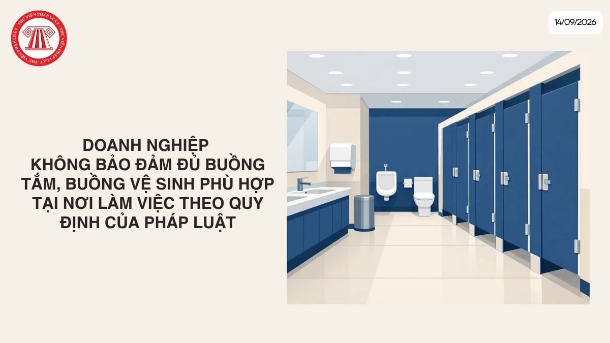Lao Động Tiền Lương
