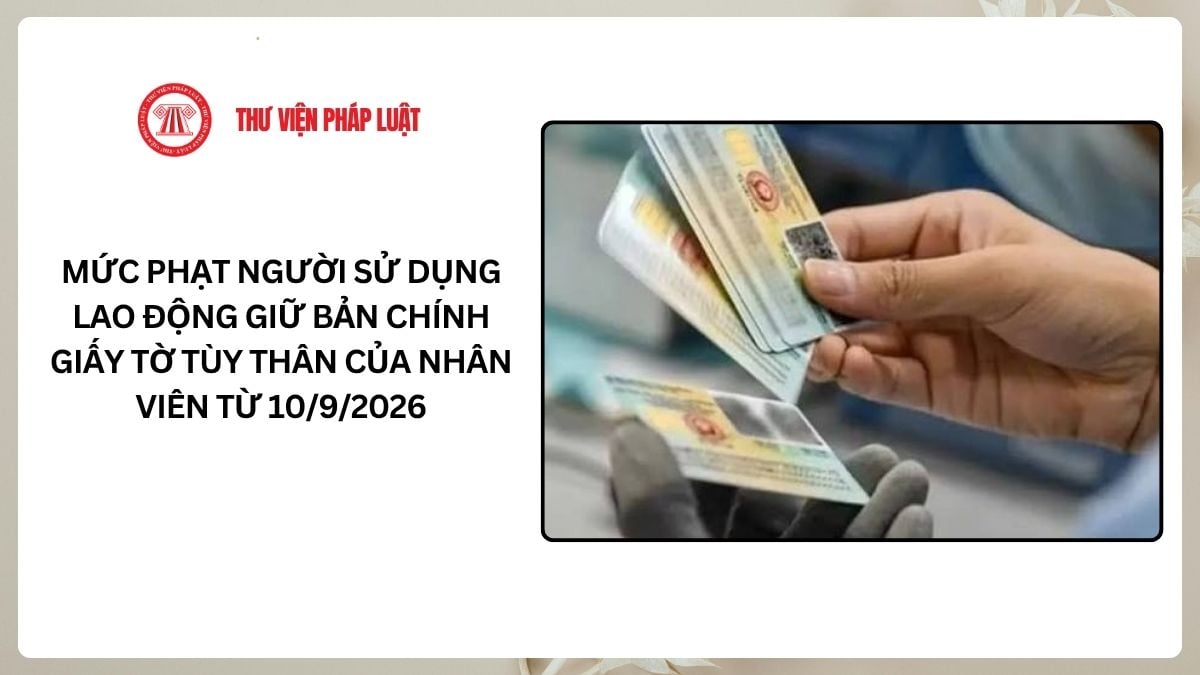 Lao Động Tiền Lương