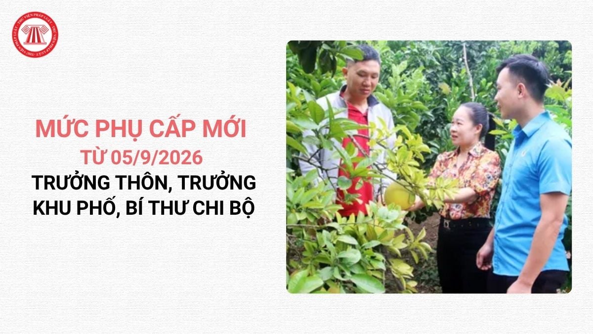Lao Động Tiền Lương