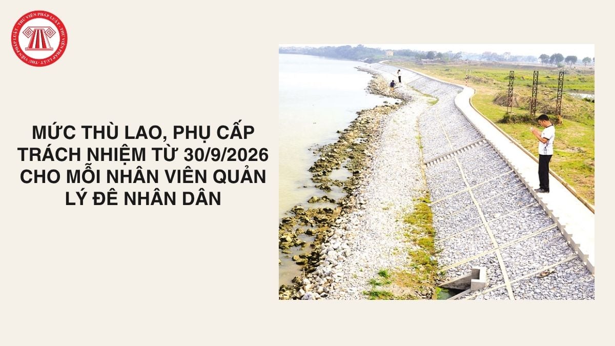 Lao Động Tiền Lương