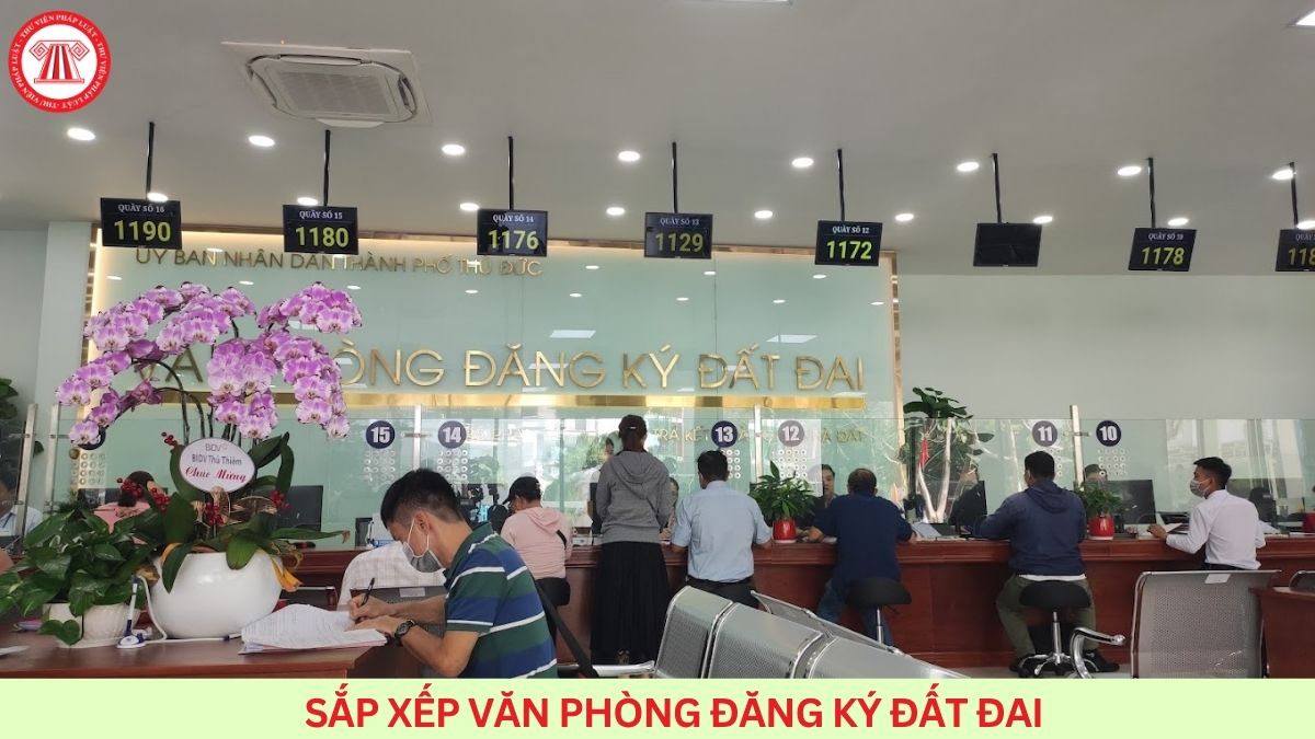 Lao Động Tiền Lương