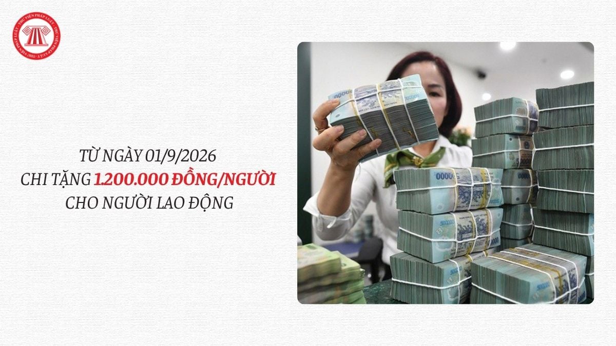 Lao Động Tiền Lương