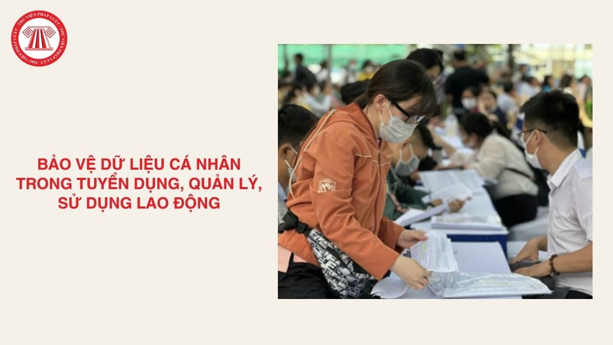 Lao Động Tiền Lương