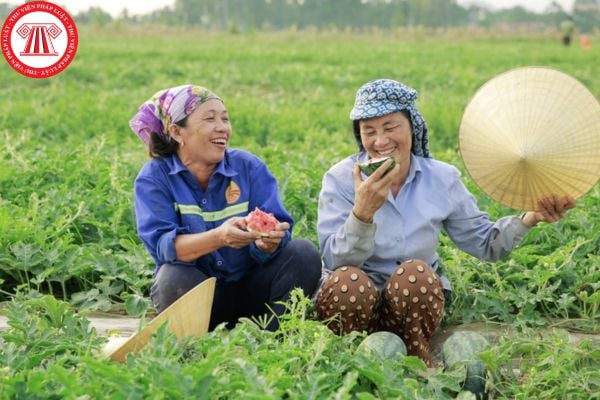 Lao Động Tiền Lương