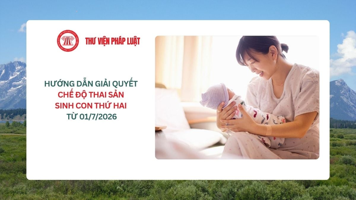 Lao Động Tiền Lương