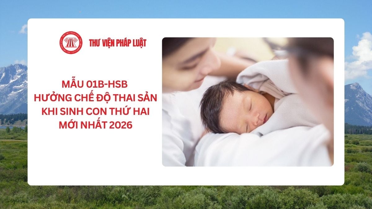 Lao Động Tiền Lương