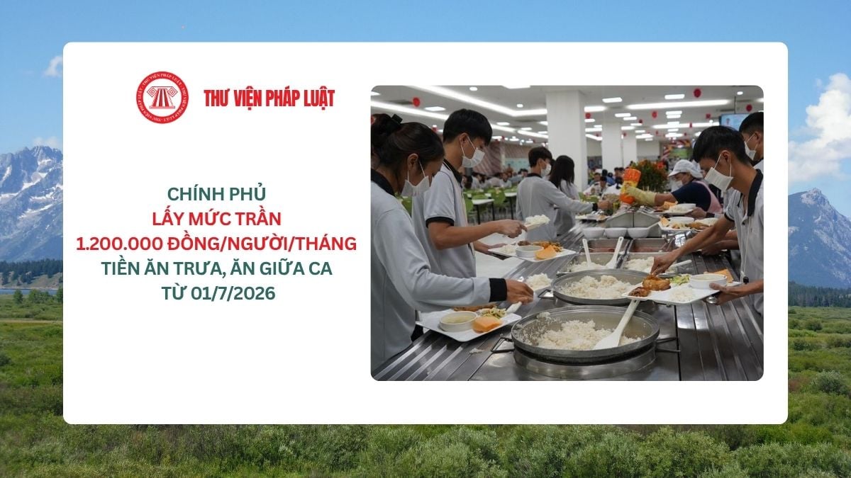 Lao Động Tiền Lương