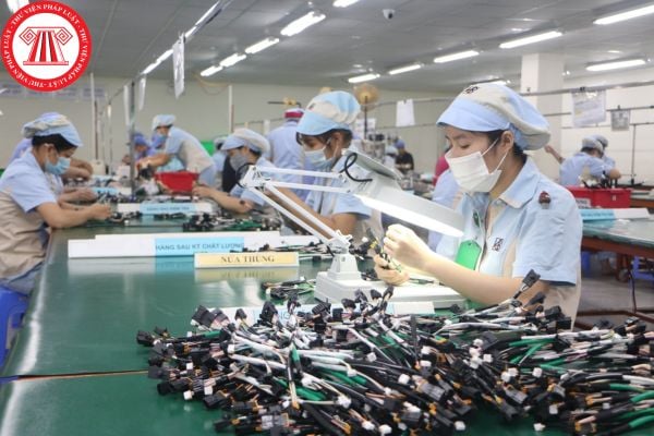 Lao Động Tiền Lương