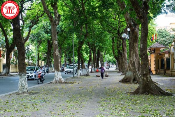 Tháng 6/2026: Đặt tên và đổi tên đường, phố thành tên đường, phố mới và công trình công cộng trên địa bàn tỉnh được cơ quan nào chủ trì xây dựng quy chế theo Quyết định 257?