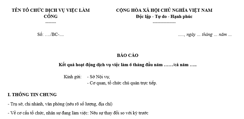 Báo cáo kết quả hoạt động của Tổ chức dịch vụ việc làm công