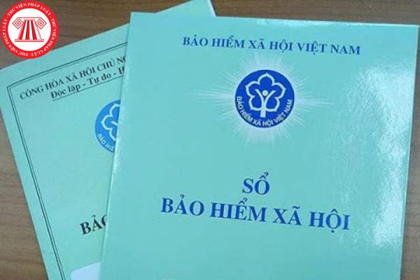 Lao Động Tiền Lương