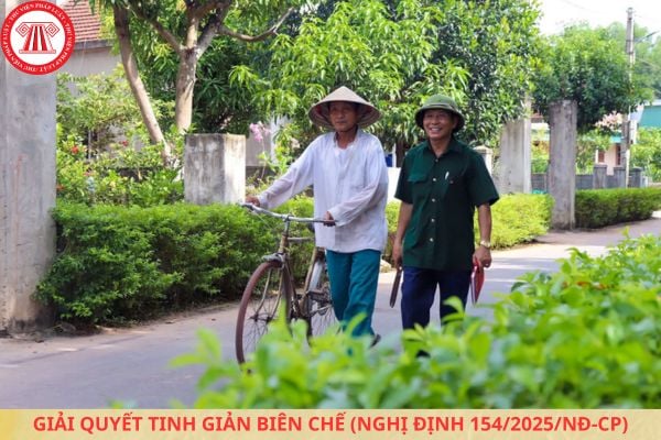 Lao Động Tiền Lương